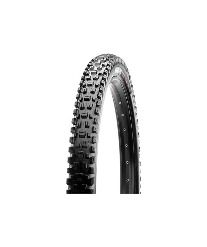 ASSEGAI MOUNTAIN 29X2.60 60 TPI FOLDABLE 3CT/EXO/TR